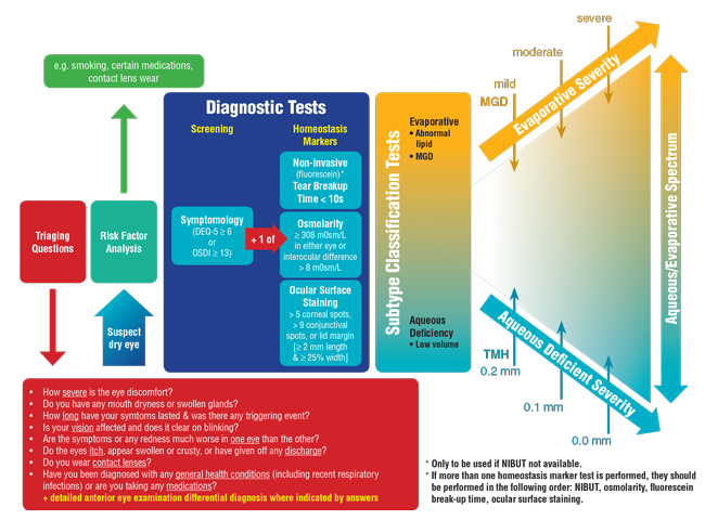Fig. 3. The TFOS DEWS II diagnostic algorithm prioritizes the role of triaging questions in a dry eye work-up. Adapted and reprinted from Ocular Surface (2017) 544–579, Wolffsohn JS, Arita R, Chalmers, R, et al. TFOS DEWS II diagnostic methodology report, p. 561, © 2017, with permission from Elsevier.