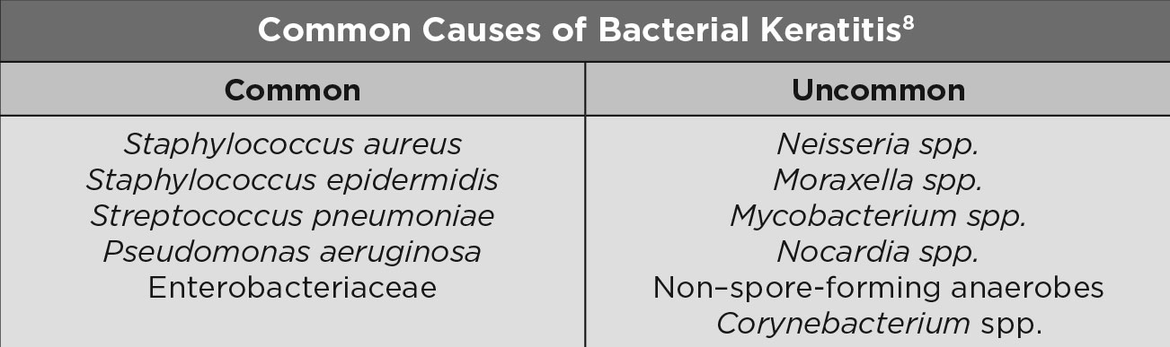 Common Causes of Bacterial Keratitis